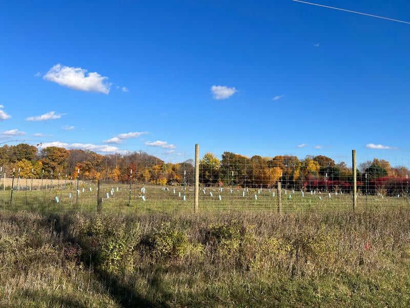 3202X Upland Rd, Taylors Falls, MN 55084