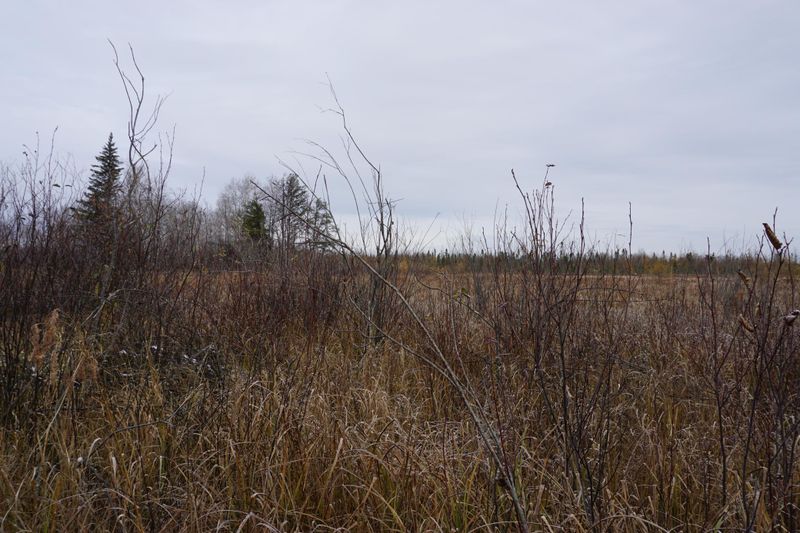 TBD 430th Ln, Mcgregor, MN 55760