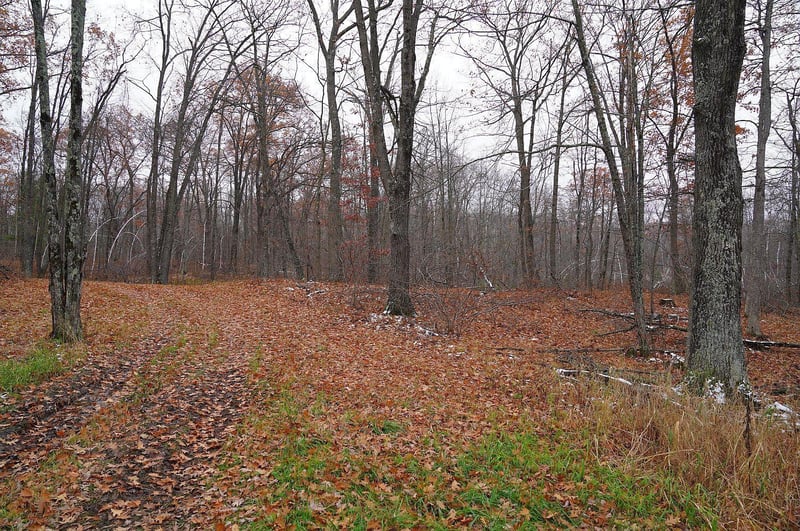 0 County Rd W, Weyerhaeuser, WI 54895