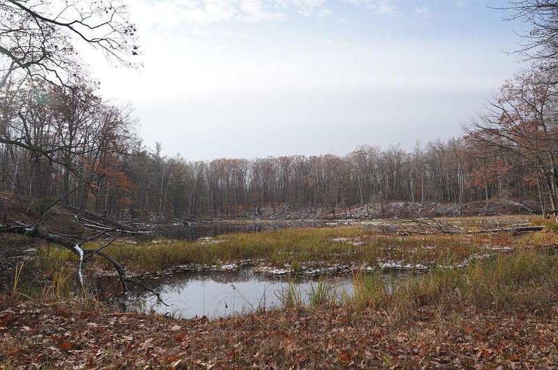 0 County Rd W, Weyerhaeuser, WI 54895
