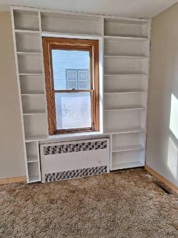 204 W Dunton St, Battle Lake, MN 56515