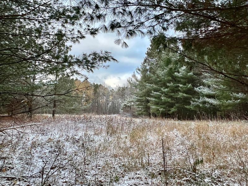 TBD County 126 Rd, Longville, MN 56655