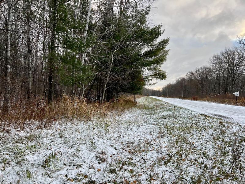 TBD County 126 Rd, Longville, MN 56655