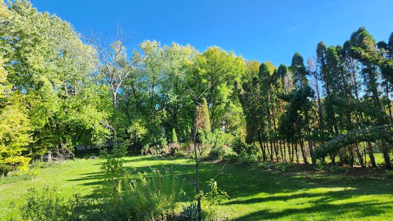 14107 Quentin Ave S, Savage, MN 55378