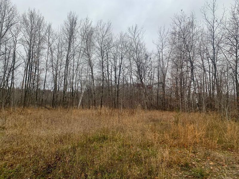 TBD County Road 50, Hackensack, MN 56452