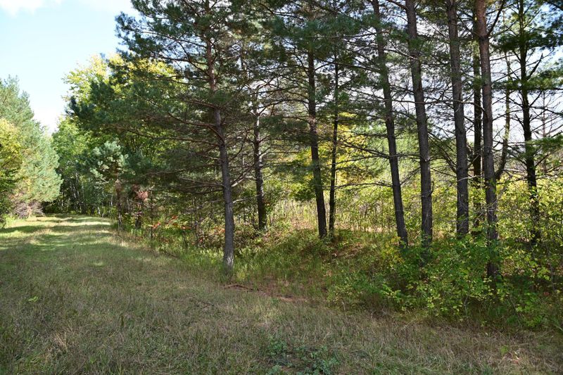 xxx Pequot Ct, Browerville, MN 56438