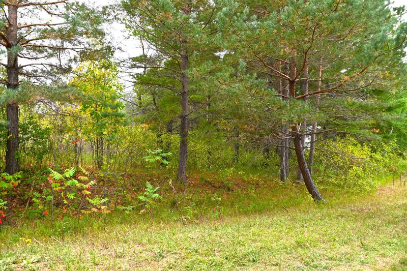 xxx Pequot Ct, Browerville, MN 56438