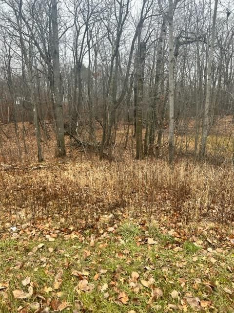 xxx Lake Camile, Cushing, MN 56443