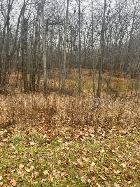 xxx Lake Camile, Cushing, MN 56443