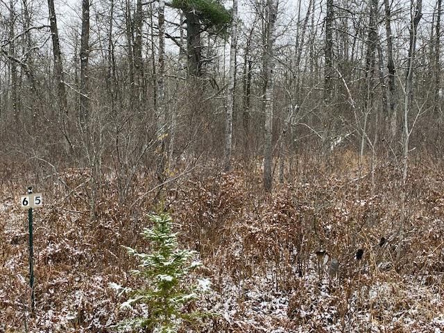 TBD Silver Brook Dr, Cass Lake, MN 56633