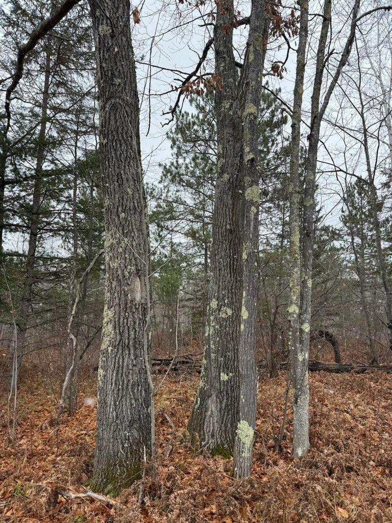 68xx Hollander Rd, Iron River, WI 54847