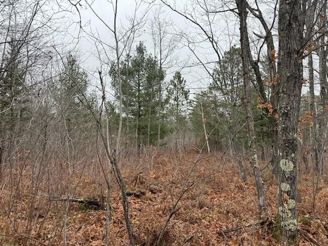 68xx Hollander Rd, Iron River, WI 54847