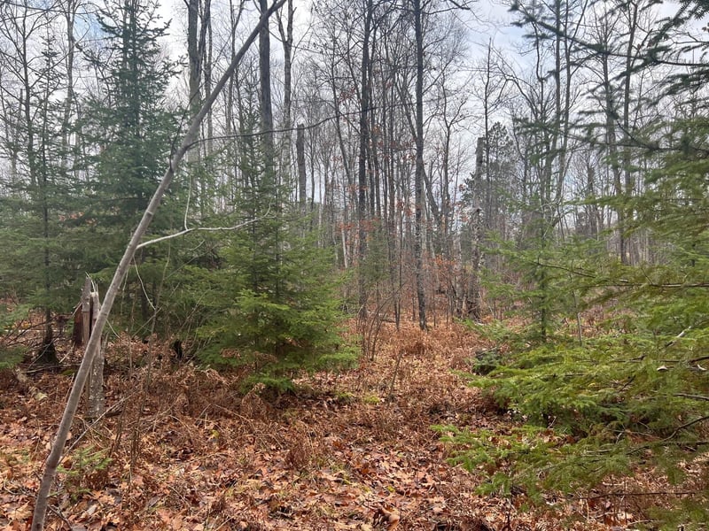 58188 Dahlgren Rd, Kerrick, MN 55756
