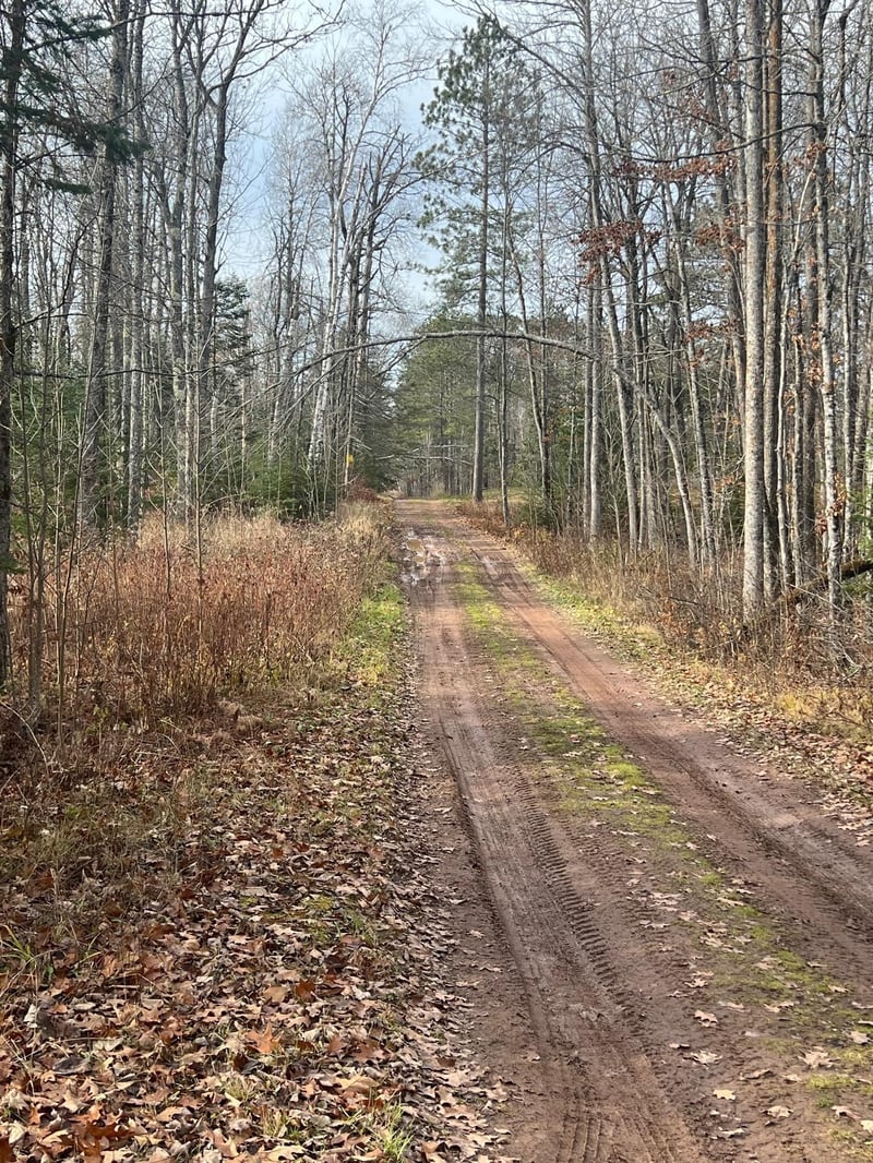 58188 Dahlgren Rd, Kerrick, MN 55756