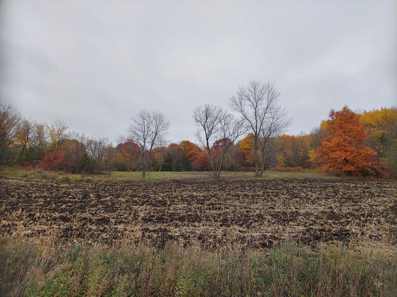 Lot 1 80th St NW, Buffalo, MN 55313