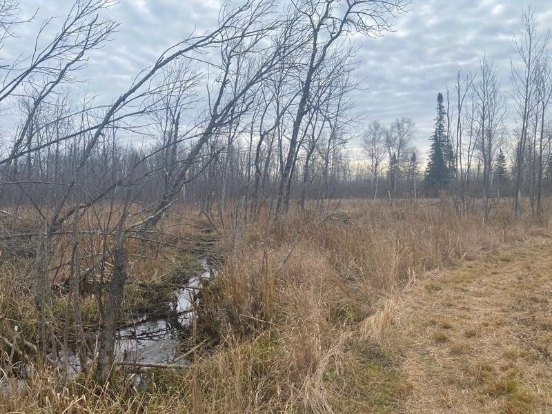 2756 Aho Rd, Mahtowa, MN 55707