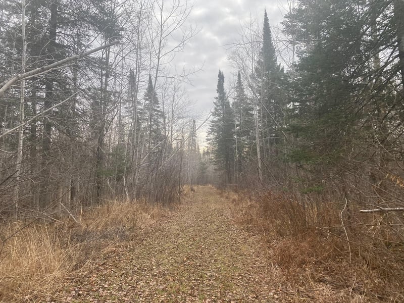 2756 Aho Rd, Mahtowa, MN 55707
