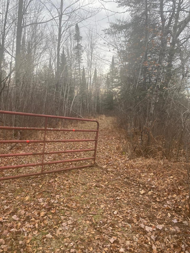 2756 Aho Rd, Mahtowa, MN 55707