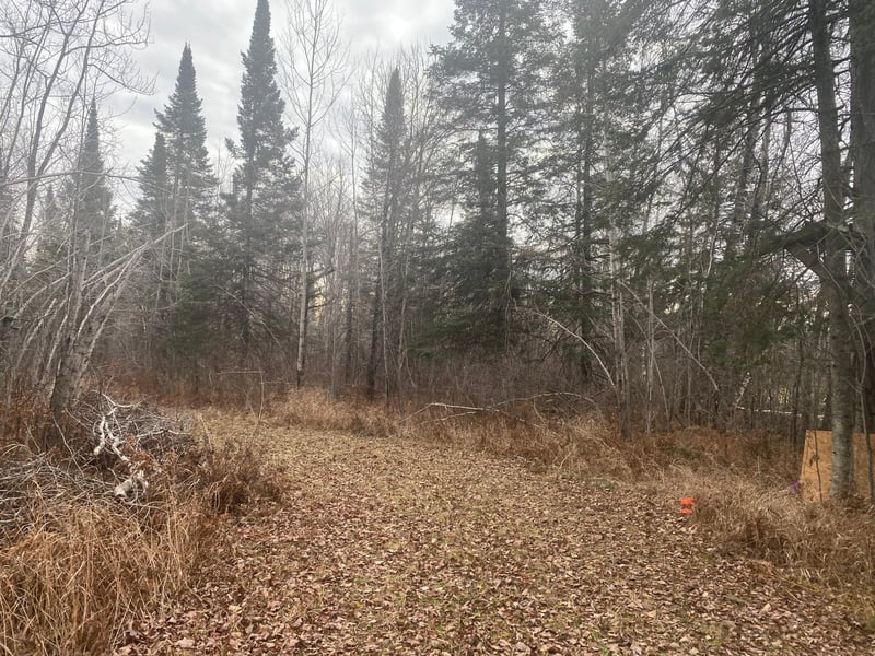 2756 Aho Rd, Mahtowa, MN 55707