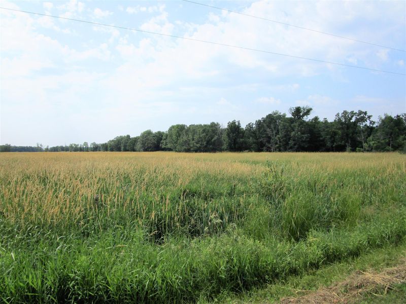 XX Shearman Rd, Siren, WI 54872