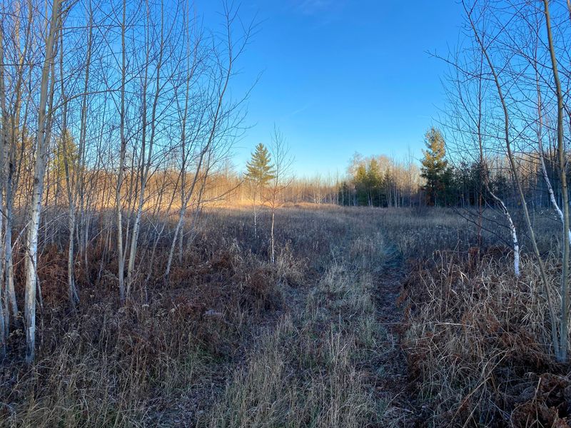 XXXX Cty Rd 142, Barnum, MN 55707