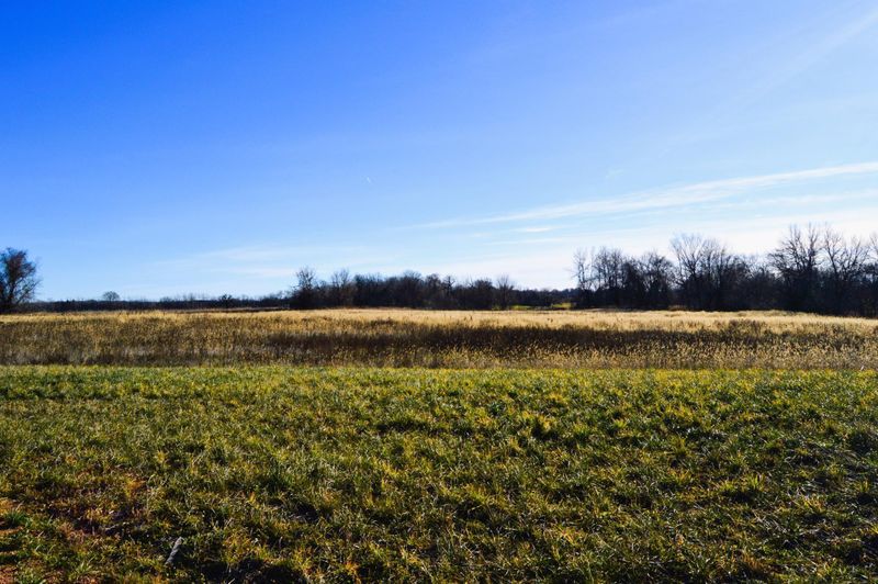 xxxx Grace Ln N, Loretto, MN 55357
