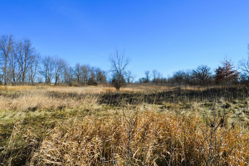 xxxx Grace Ln N, Loretto, MN 55357