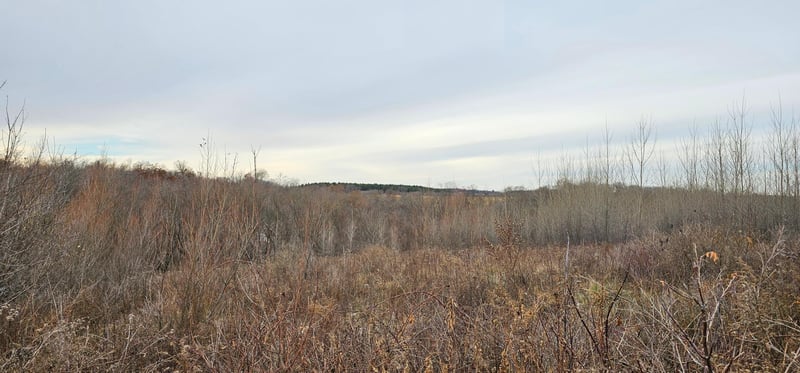 TBD Cedar Rd, Peterson, MN 55962