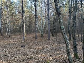26022 Ostergren Rd, Webster, WI 54893