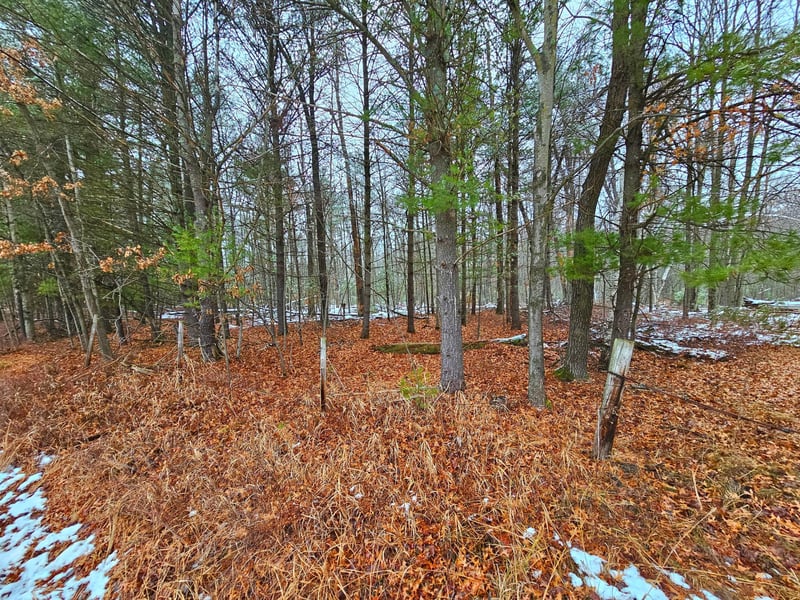 E24444 County Road Cf, Augusta, WI 54722