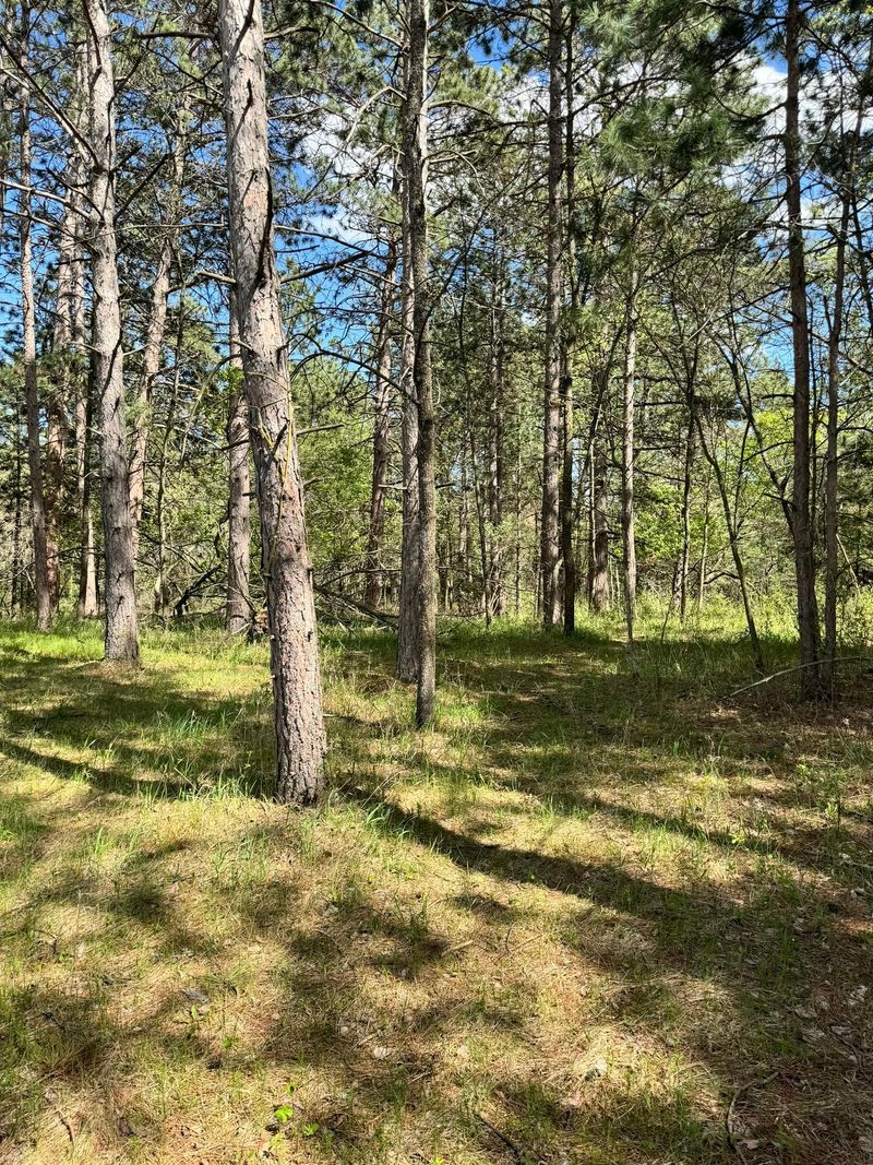 TBD 10th St E, Park Rapids, MN 56470