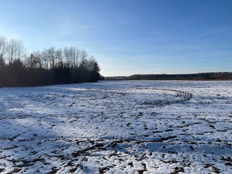 XXX Bunny Hill Rd, Sebeka, MN 56477