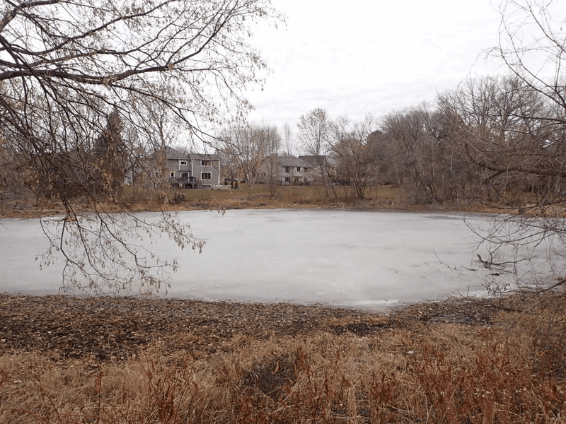 8978 Pinehurst Rd, Woodbury, MN 55125