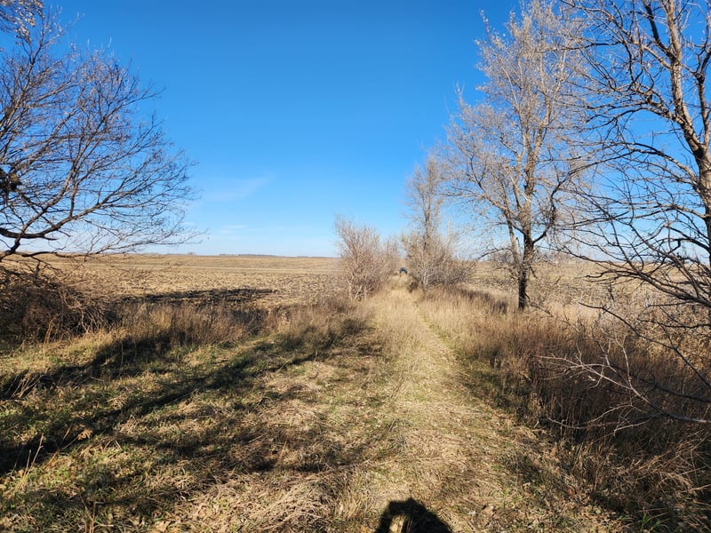 28257 1st St, Fulda, MN 56131