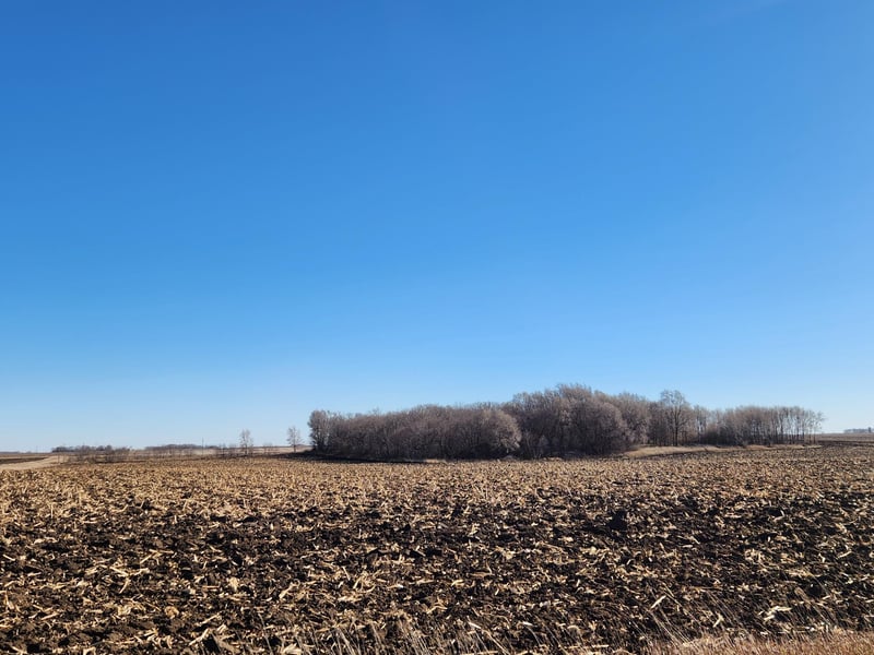 28257 1st St, Fulda, MN 56131