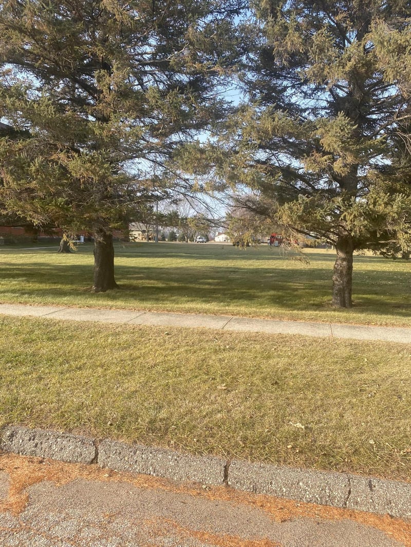 Lots 5 - 6 S Block 68 3rd St, De Graff, MN 56271