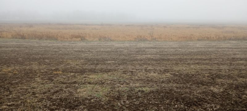 xxx County Road 10, Long Prairie, MN 56347