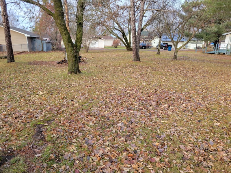 xxx S 1st St, Cameron, WI 54822