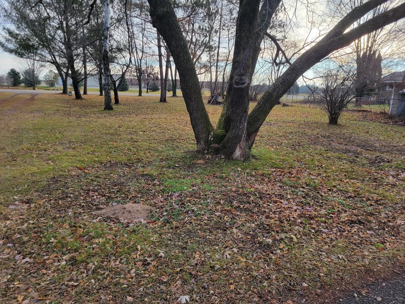 xxx S 1st St, Cameron, WI 54822