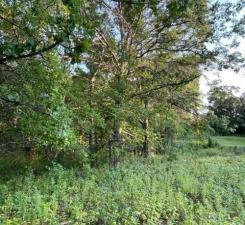 1896 Viking Blvd NW, Oak Grove, MN 55011