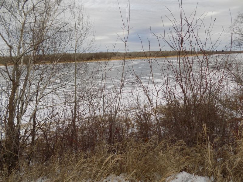 1694 State Highway 11 SE, Baudette, MN 56623