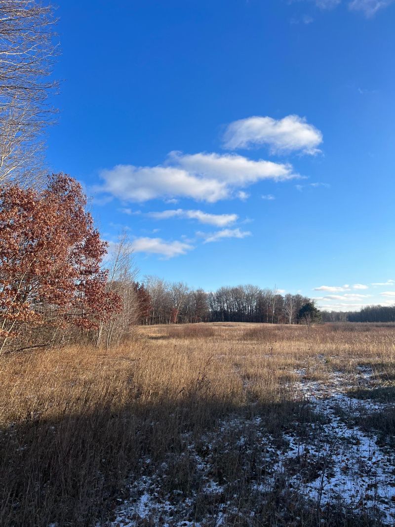 37649 Spruce Rd, Hillman, MN 56338