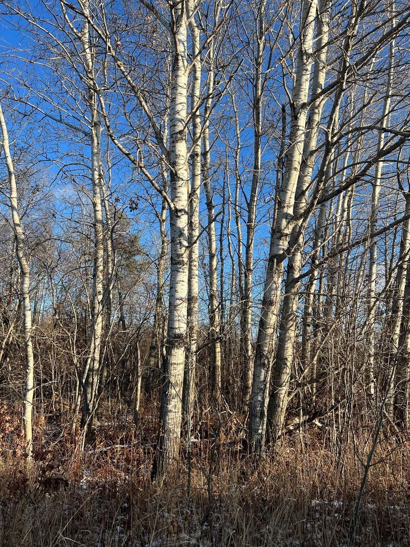 37649 Spruce Rd, Hillman, MN 56338