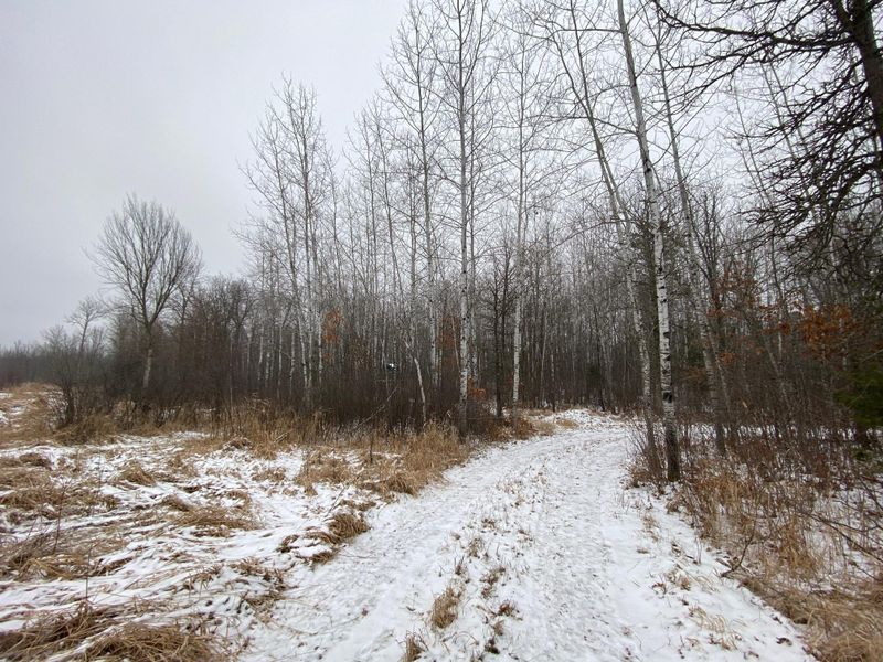 xxxx Loon Ave, Mcgregor, MN 55760