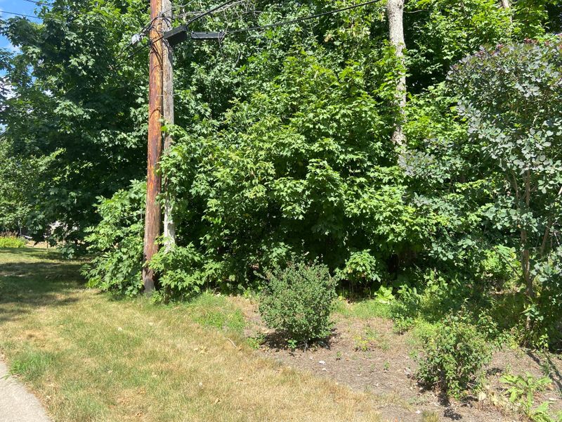 2970 Oaklawn Ln, Mound, MN 55364
