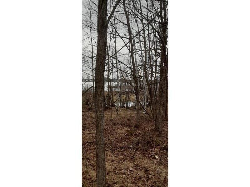 xxx Lot 5 County Road D, Clayton, WI 54004