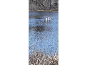 xxx Lot 5 County Road D, Clayton, WI 54004