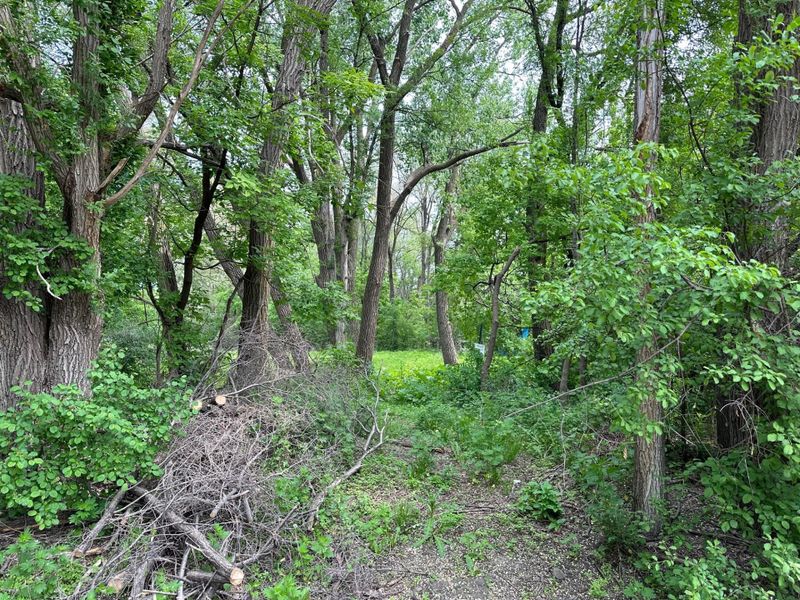 xxx1 Wheelock Dr, Saint Paul, MN 55117
