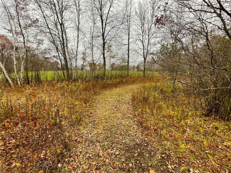 XYZ 110th St, Amery, WI 54001