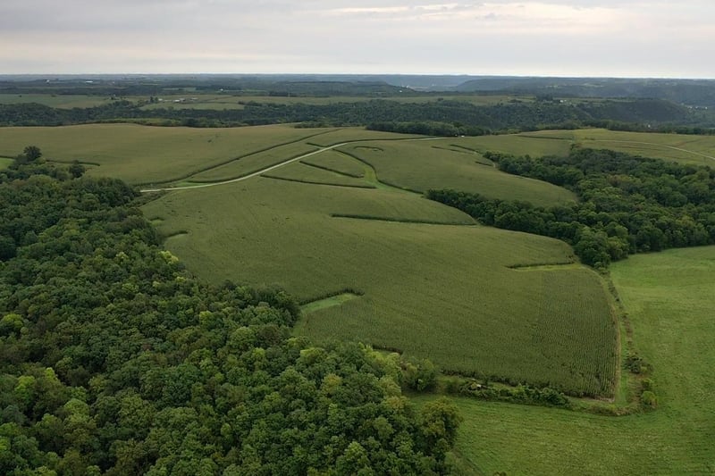 TBD Dairy Ln, Peterson, MN 55962